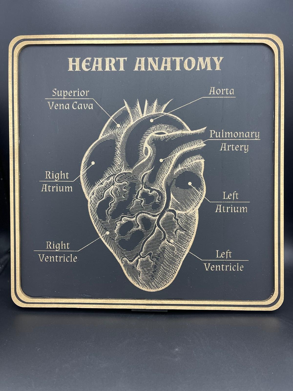 Wanddeko Holz "Heart Anatomy" 380 x 380