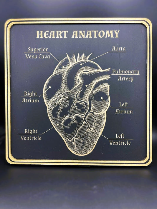 Wanddeko Holz "Heart Anatomy" 380 x 380